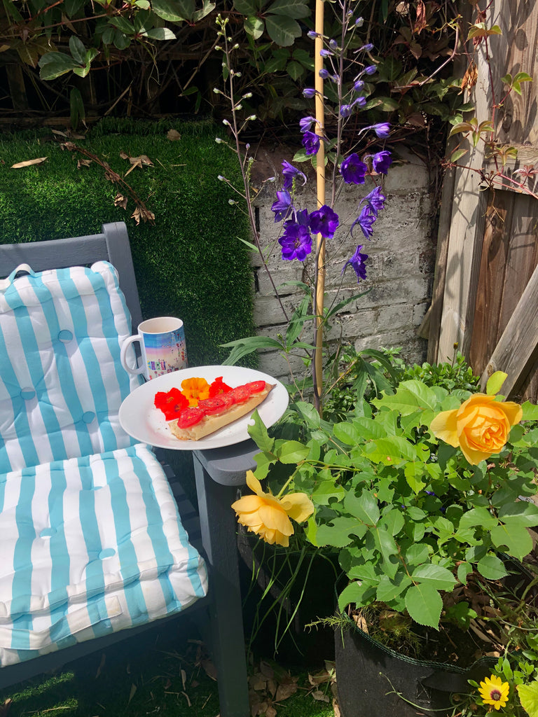 Spot the arty mug in my garden.