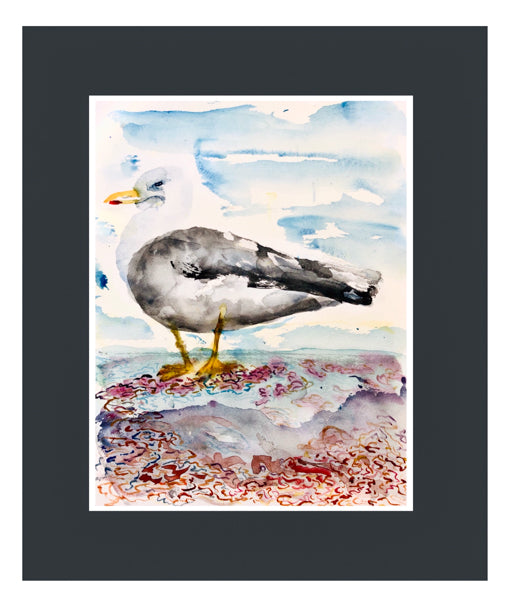 Seagull Painting by Stephanie Fuller Artist