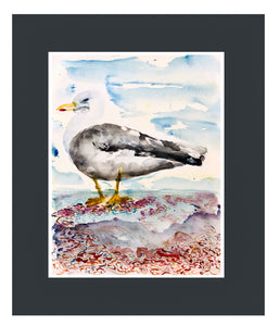 Seagull Painting by Stephanie Fuller Artist