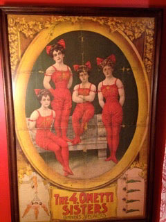 The Aerialist