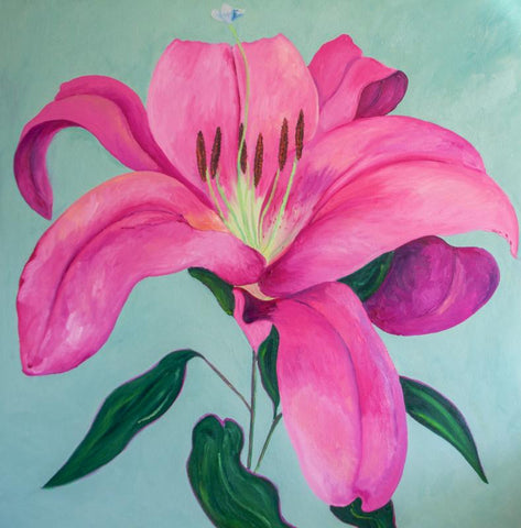 Lilium