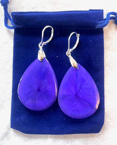 Purple Collection