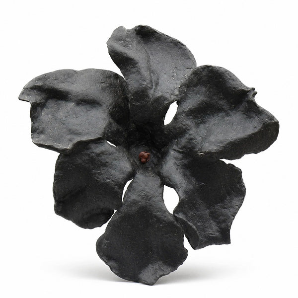 Lola Black