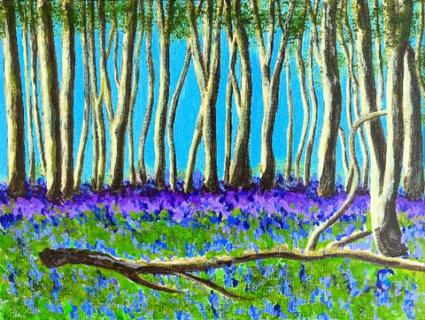 Bluebell Woods, Kingsdown
