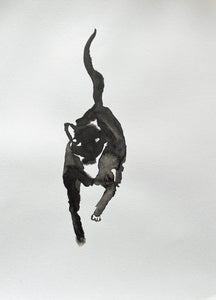 Sydney: An Ink Portrait of Feline Grace
