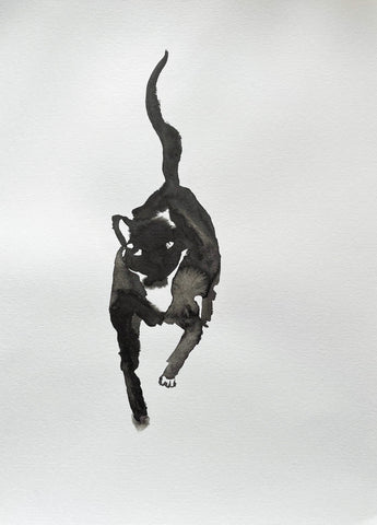 Sydney: An Ink Portrait of Feline Grace