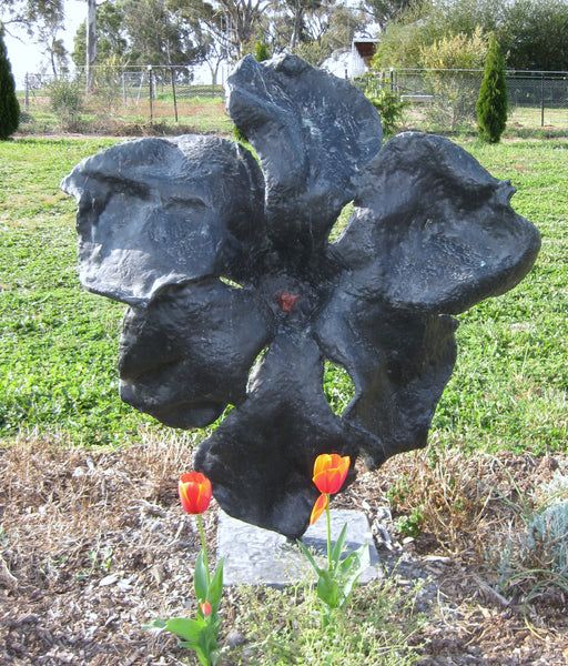 Lola Black