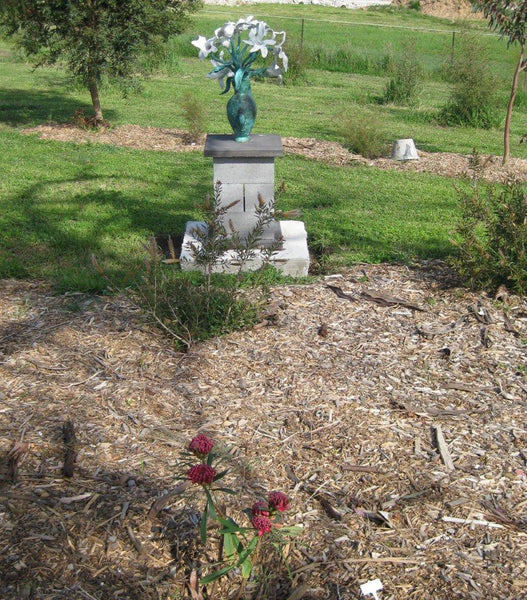An Unofficial Rose for St Christopher