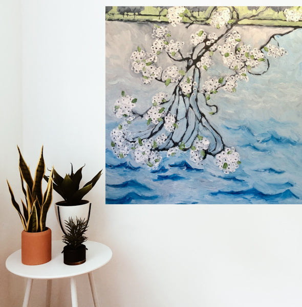 Cherry Blossoms