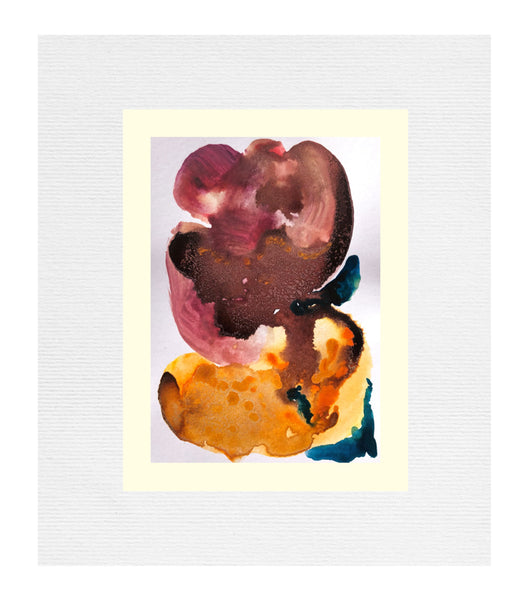 Coralline Polypi