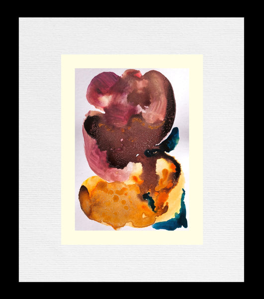 Coralline Polypi