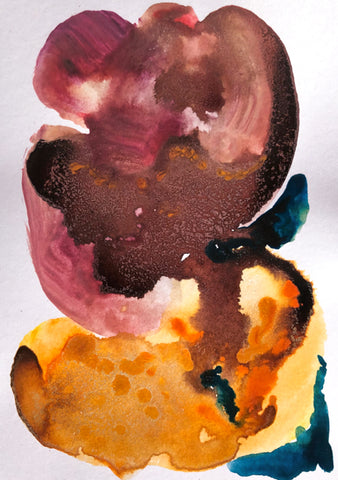 Coralline Polypi