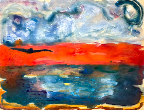 Seagull Sunrise