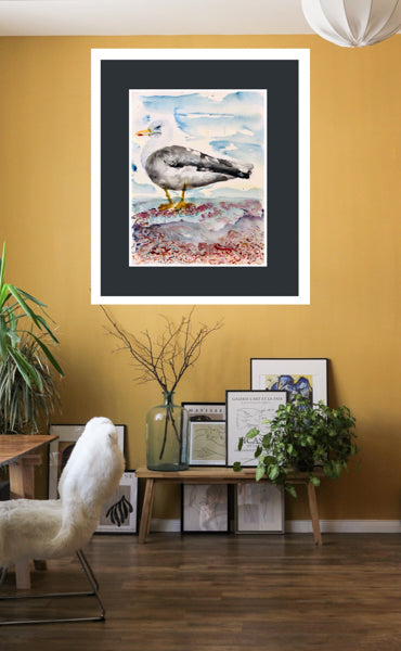Seagull, Walmer