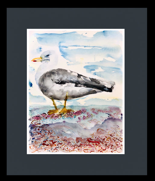 Seagull, Walmer