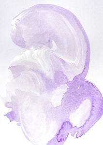 Violet Visions