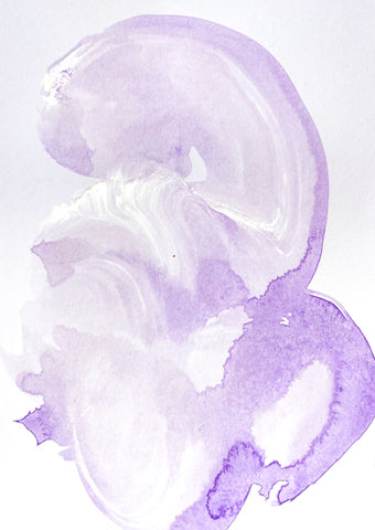 Violet Visions