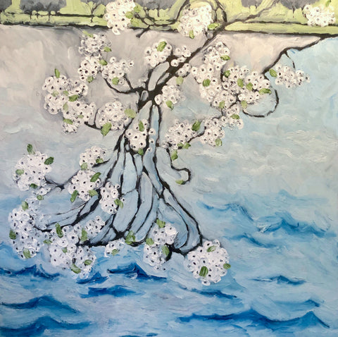 Cherry Blossoms